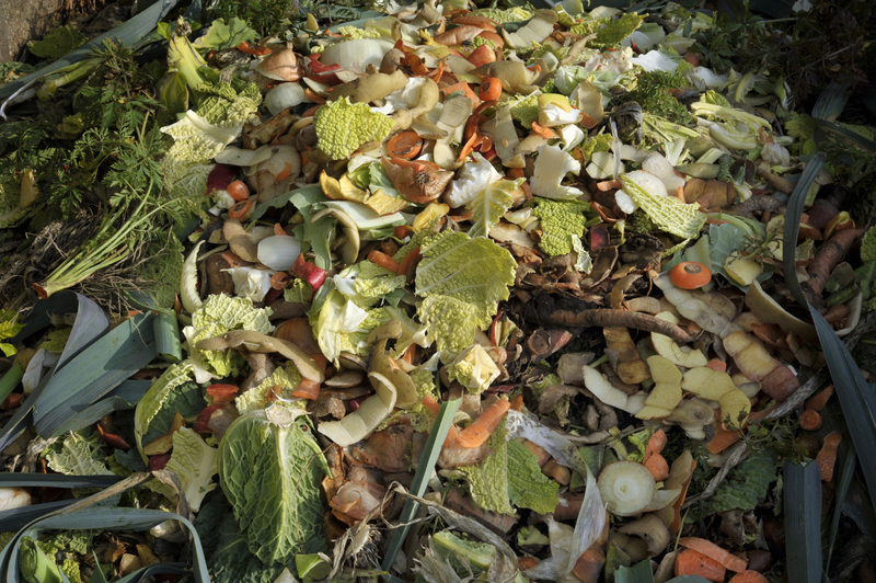 Discover the Essential Facts About Glass Recycling
